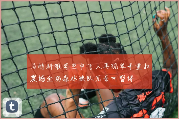 马特科维奇空中飞人再现单手重扣震撼全场森林狼队无奈叫暂停